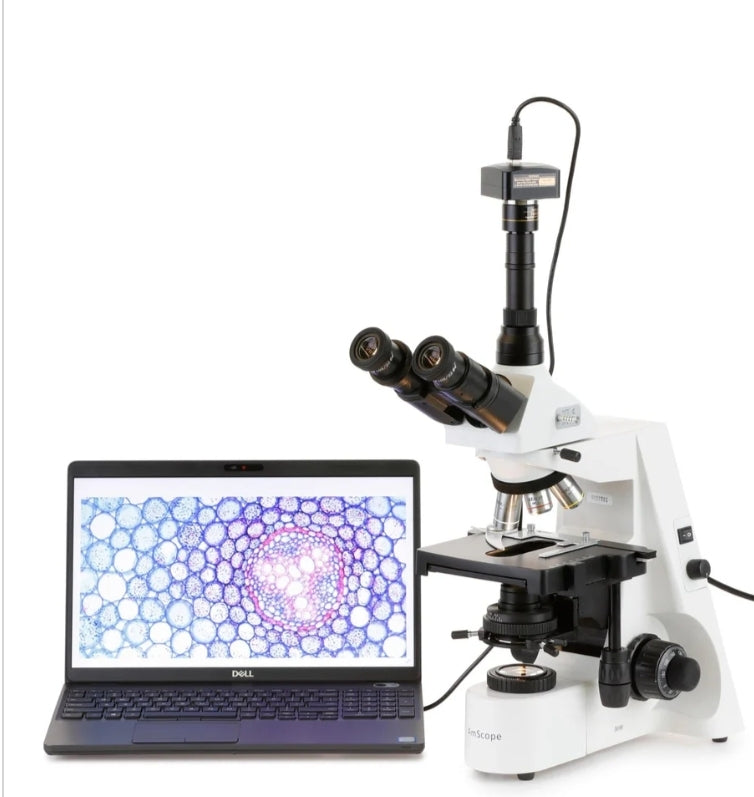 Trinocular Compound Microscope | Phase-Contrast